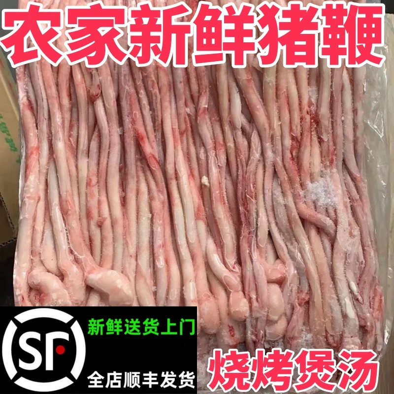 猪鞭新鲜冷冻猪小弟精修干静100左右根烧烤串串私房菜食材