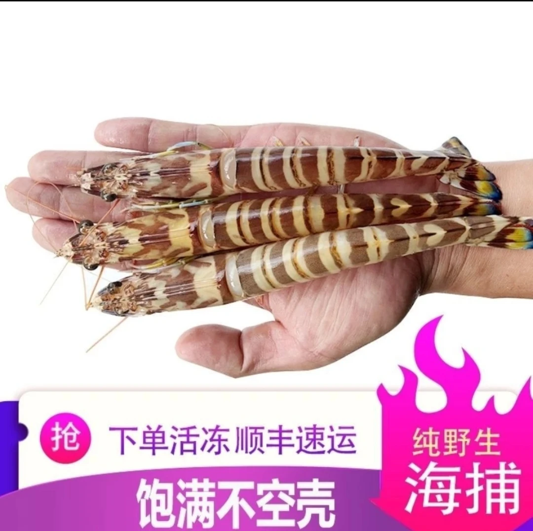 神泉港九节虾3斤装！