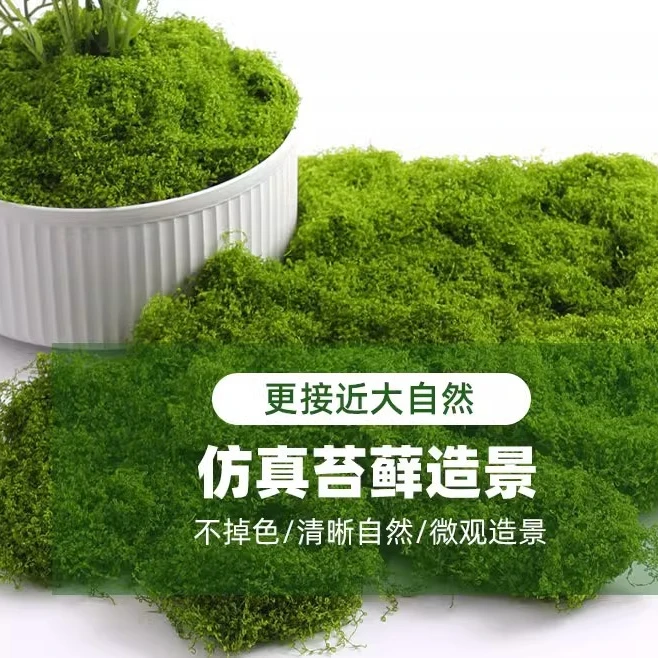 草坪青苔仿生景观绿植小草盆景造景铺面假苔藓装饰小型假草