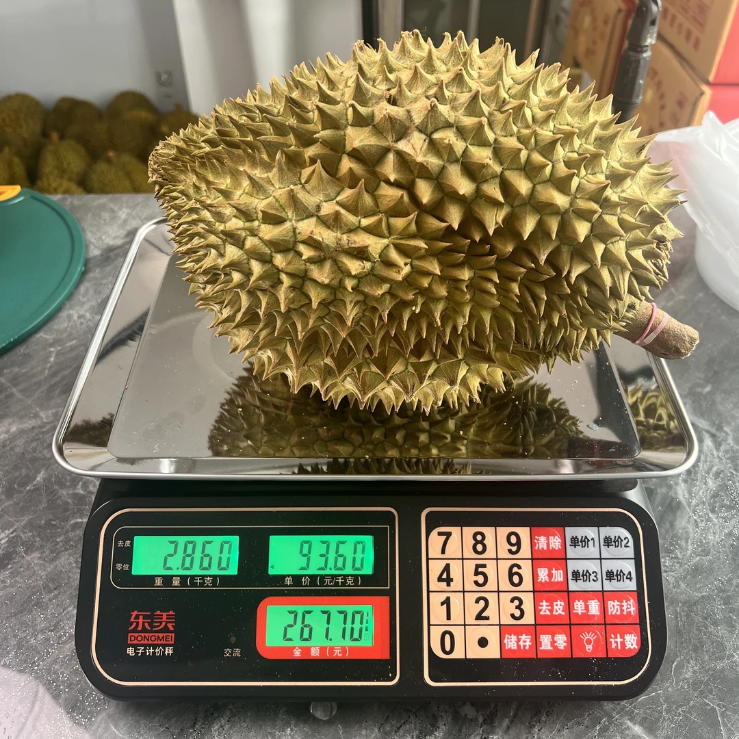 【现拍现开】2斤 树熟金枕榴莲【深圳同城小时达】