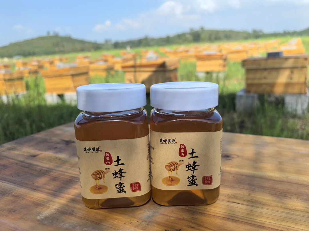 【冰冰专属】中华蜜蜂土蜂蜜500g/瓶