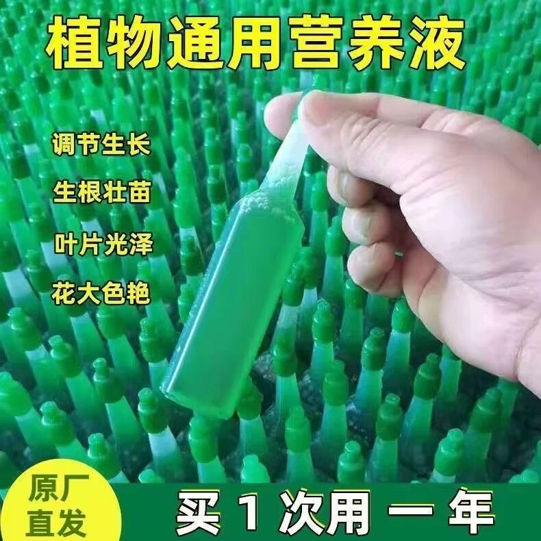 j营养液植物通用型绿萝富贵竹发财树巴西木多肉水培养花卉绿植花