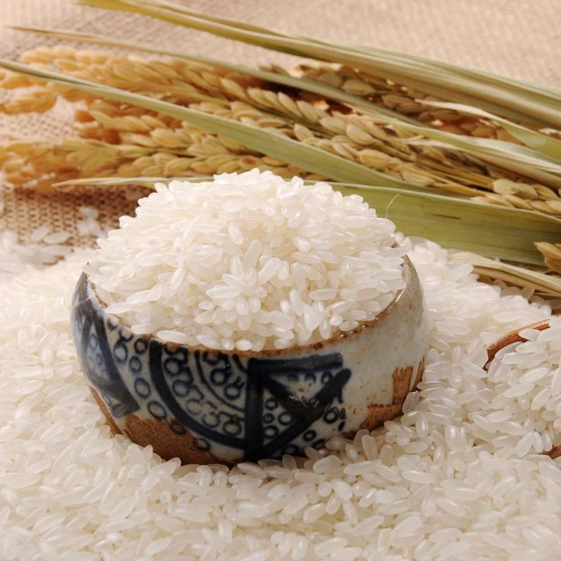 2024年新大米稻花香2号上市