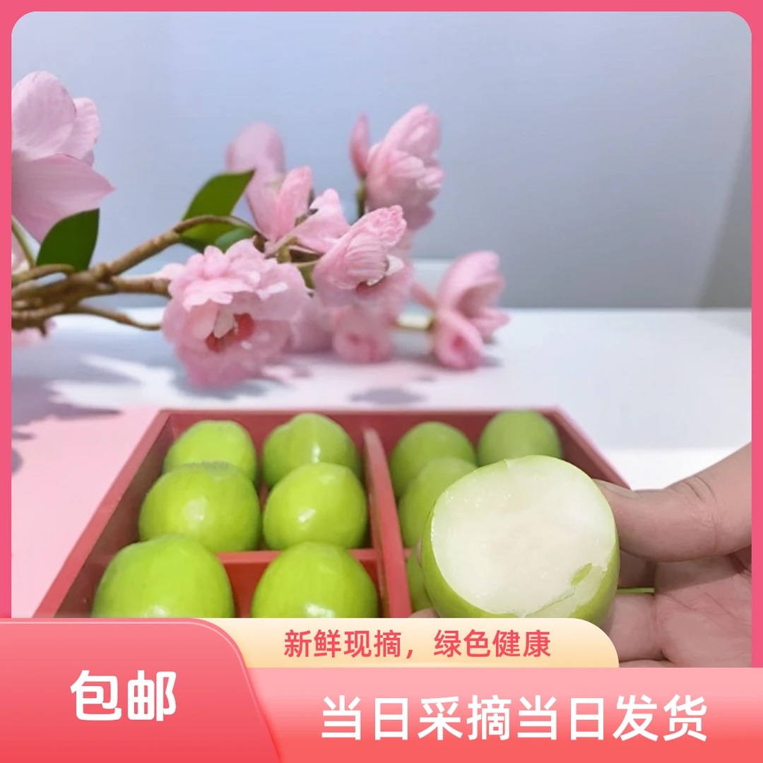 云南省元谋县本地大青枣 当日采摘当日发货