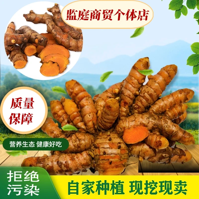 【庆庆姐专属】新鲜姜黄广西小黄姜月子姜食用姜现挖1-5斤产地直发