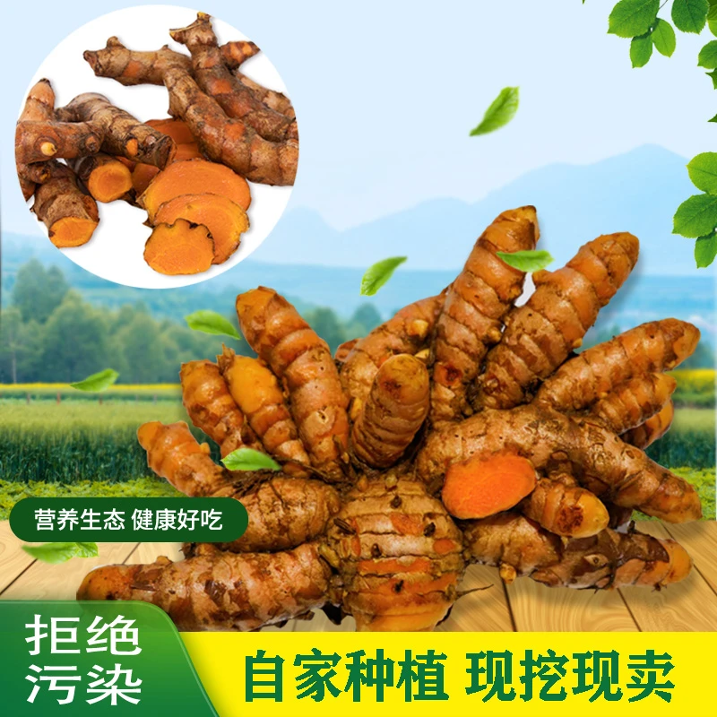 姜黄新鲜现挖广西野生小黄姜月子姜老姜产后姜黄现挖1斤-5斤包邮