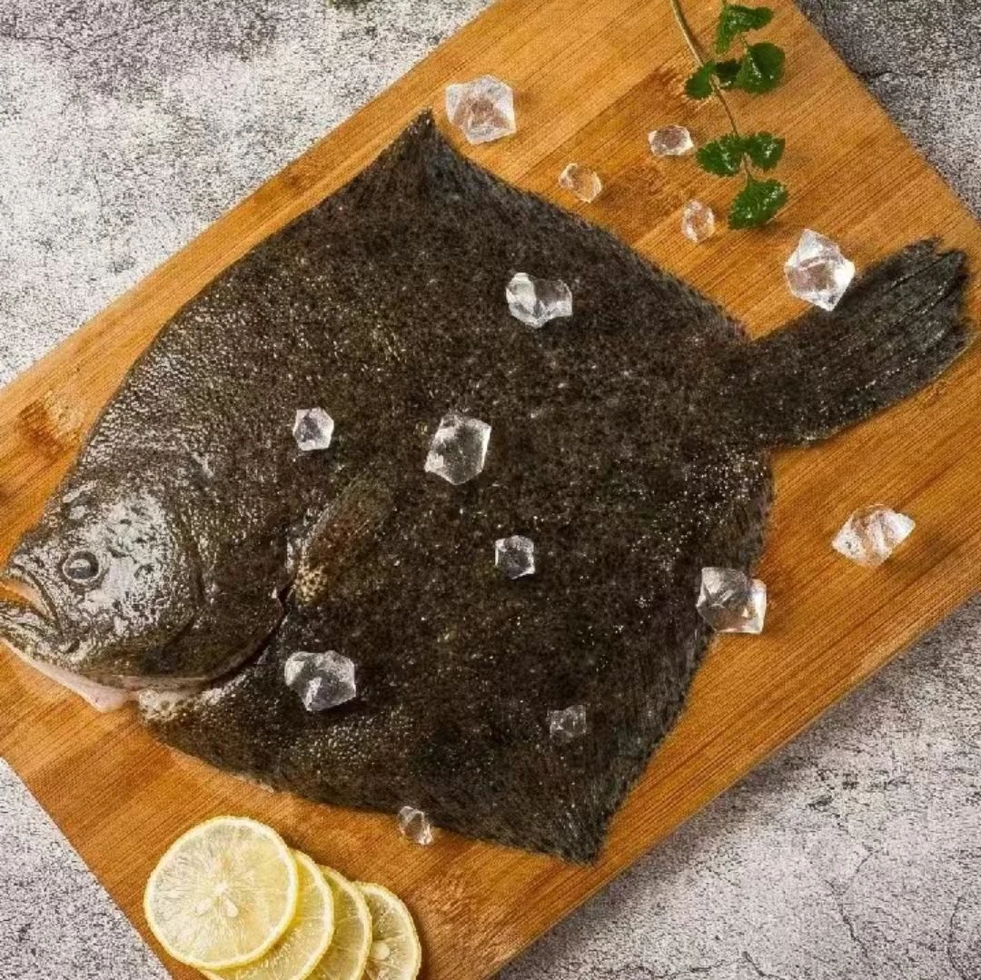 多宝鱼、（1.3-1.5/条）活鱼现杀