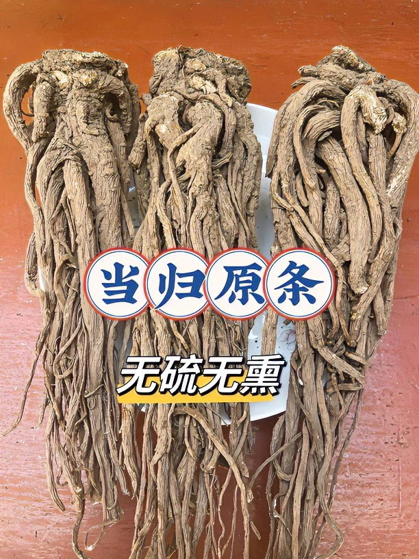 【当归原条】新货无硫大颗，甘肃岷县原产地直发搭配枸杞特大精选