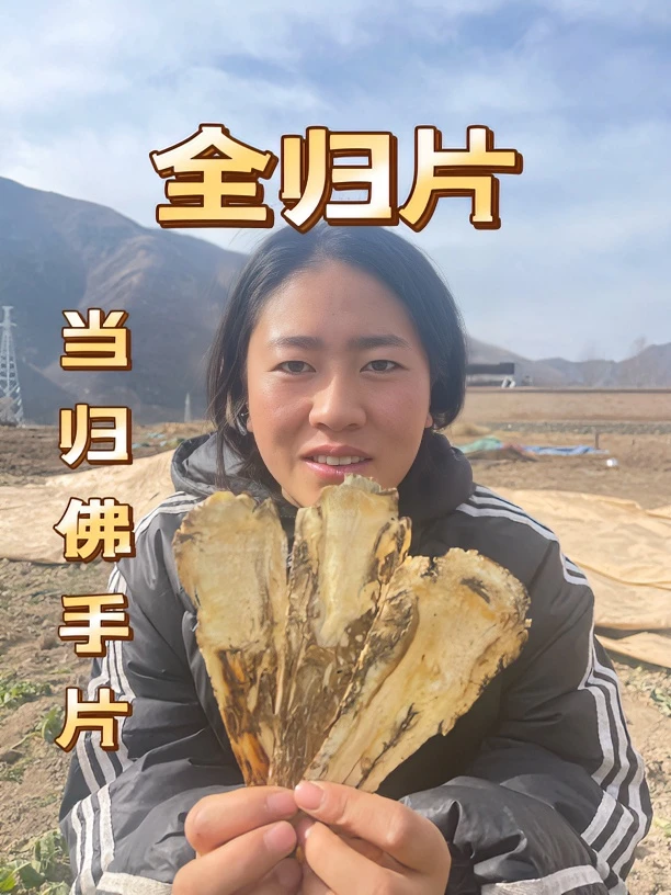 【全当归】佛手片无硫，可搭配黄芪党参枸杞煲汤煮水男女都可以