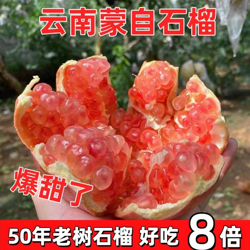 【滞销直降】云南蒙自50年老树硬籽石榴现摘新鲜水果非会理1-9石榴