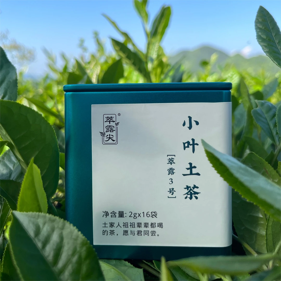 萃露尖[小叶土茶]恩施硒茶绿茶群体种高山云雾茶2025年新茶