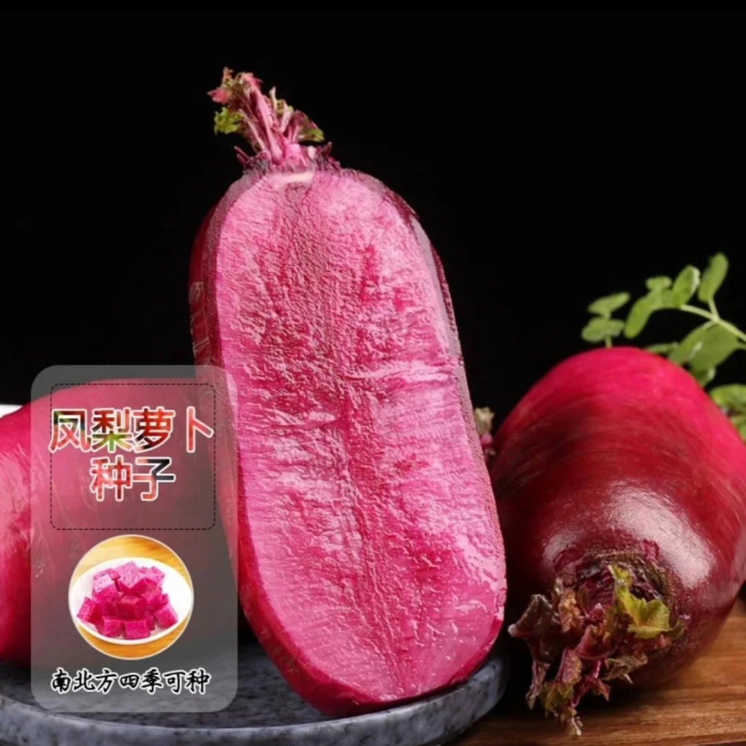 【凤梨水果萝卜】凤梨萝卜阳台菜园庭院可萝卜种子