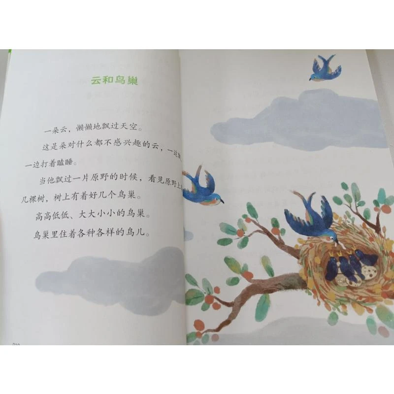 小鼹鼠的珍藏 张秋生著 9787531361763 春风文艺出版社
