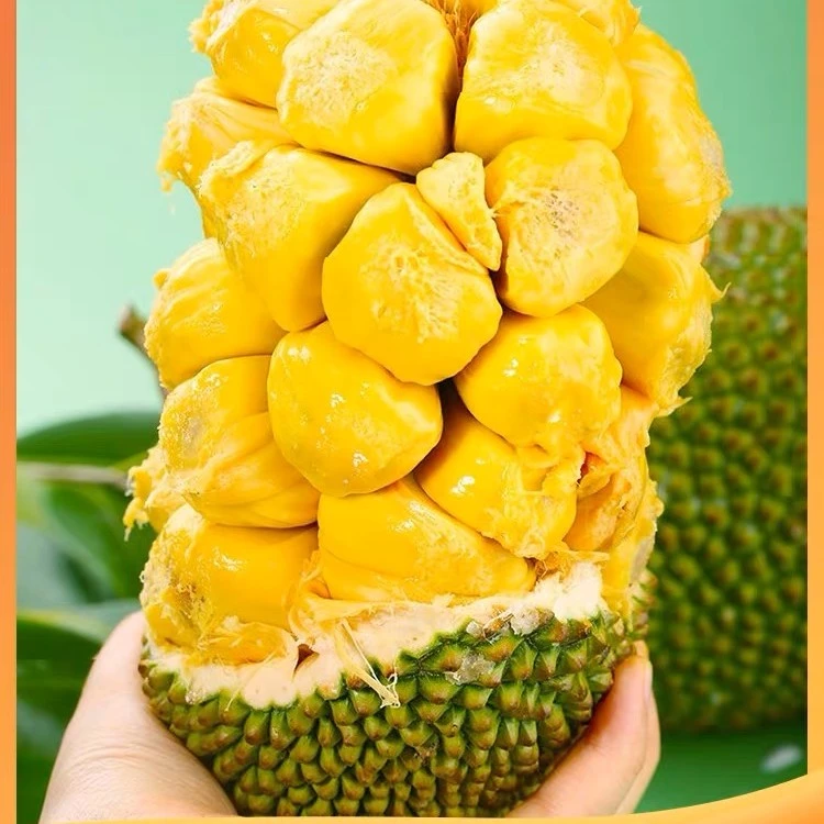 海南保亭留连蜜现摘现发2-10斤包邮软糯香甜新鲜水果