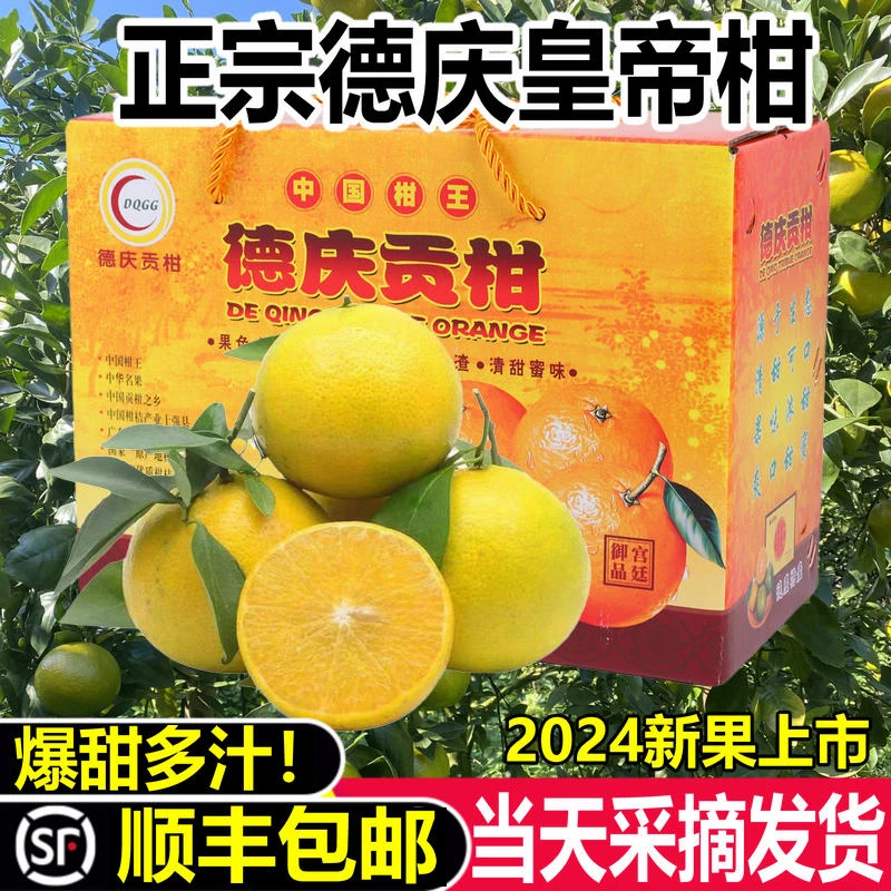 顺丰正宗广东德庆皇帝柑新鲜现摘贡柑橘桔子当季新鲜水果整箱