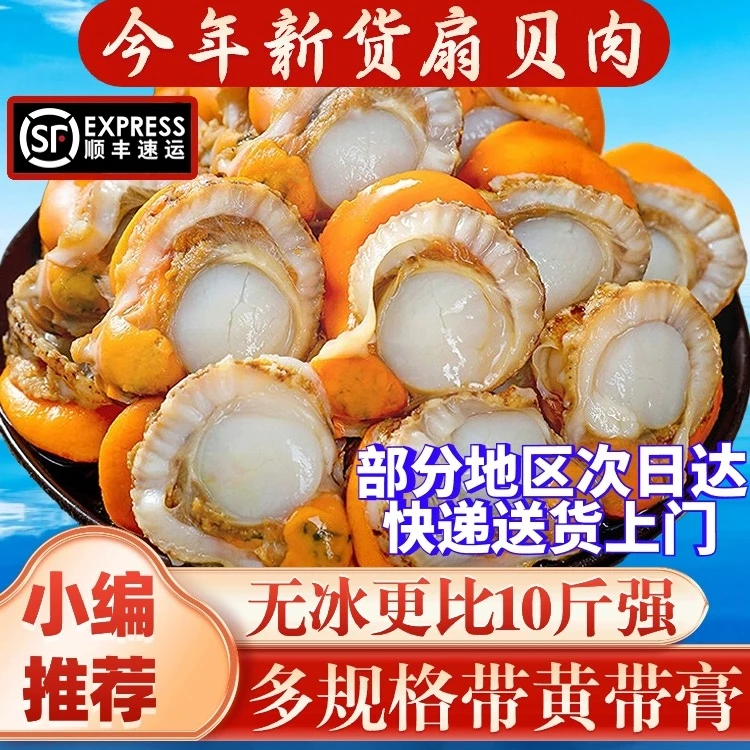 3斤 20-40规格新鲜特大扇贝肉带黄带膏无冰衣黄蚬子鲜活海鲜红贝