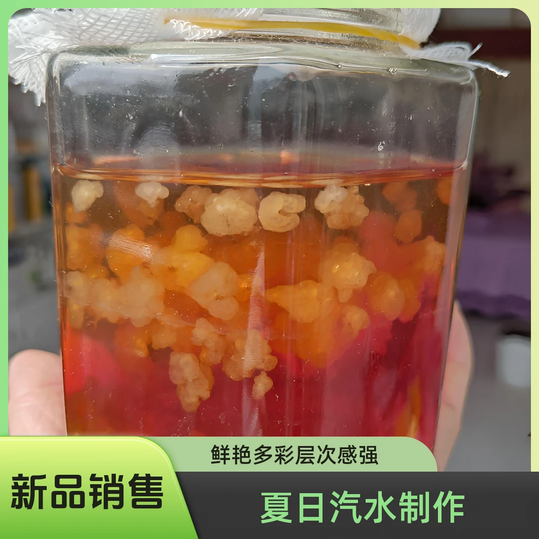 水开菲尔太阳菌红糖菌Water Kefir 水克菲尔菌种尤特莱发酵活菌