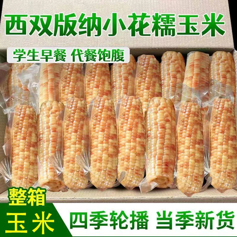 云南西双版纳小花糯玉米新鲜甜糯黏玉米代餐玉米棒真空包装批发