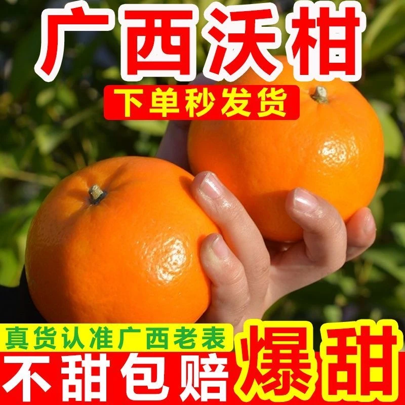 正宗广西武鸣沃柑，10年老树高山成熟，皮薄肉厚多汁新鲜采摘