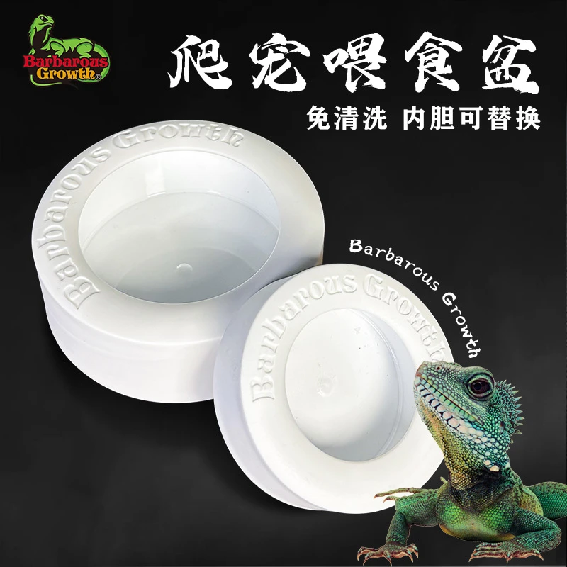 超萌好物防逃逸爬宠喂食盆鬓狮蜥蜴豹纹守宫蜘蛛爬虫活体面包虫杜