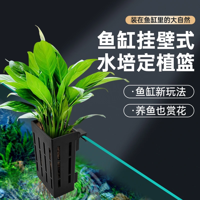 超萌好物鱼缸造景装饰固定水培植物支架定植篮固定水草杯造景绿植
