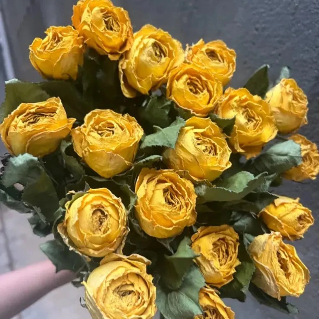 【干花】金枝玉叶单头黄色系列家居摆件