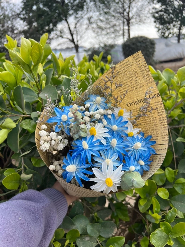 【干花】文心兰混搭田园风格干花花束