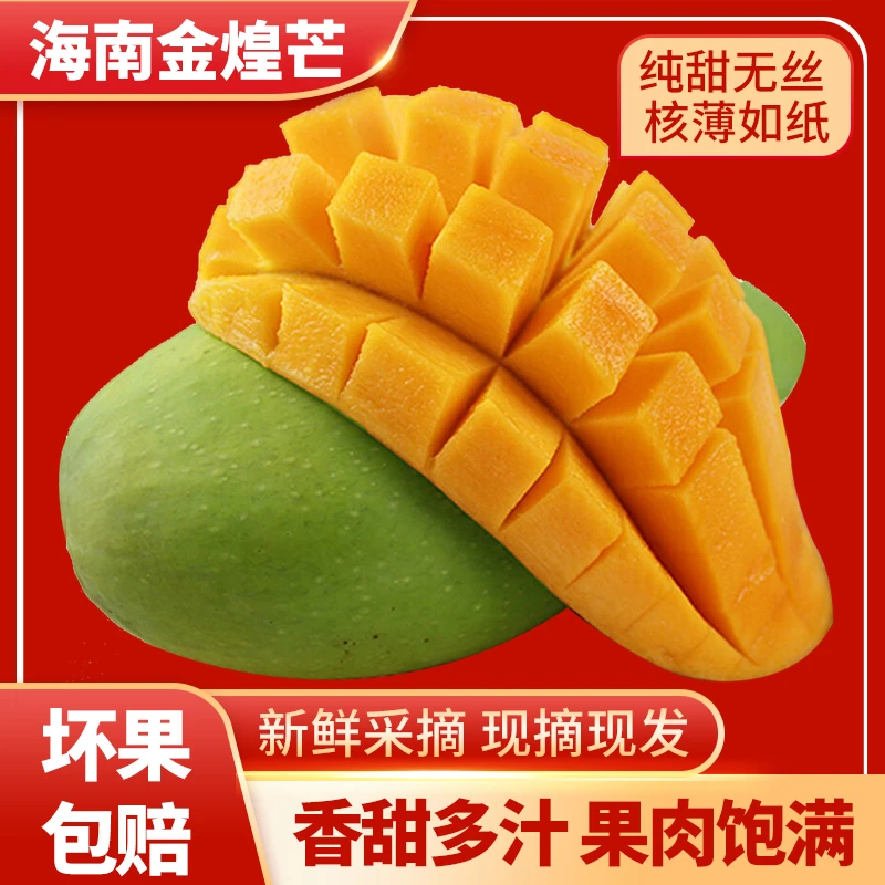 【礼盒装】海南金煌芒纯甜现摘芒果孕妇水果金黄水仙芒5/8斤
