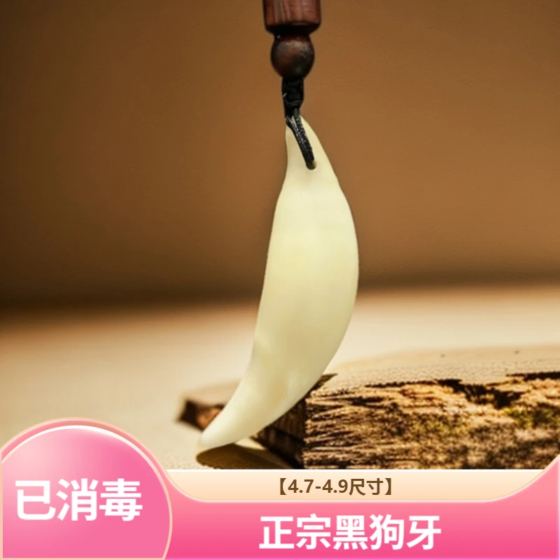 【4.7-4.8cm吊坠】黑狗牙藏獒牙男女本命年吊坠包挂件