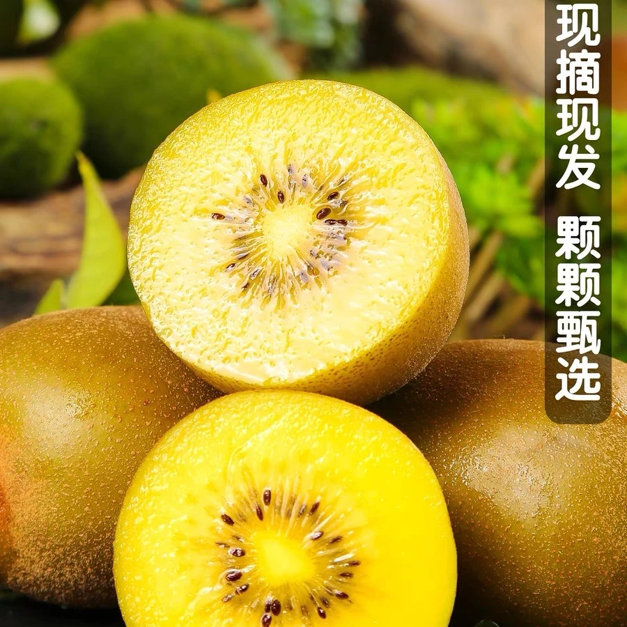 贵州黄心奇异果现摘直发24枚净重5斤（精品包装)香甜可口坏果包赔