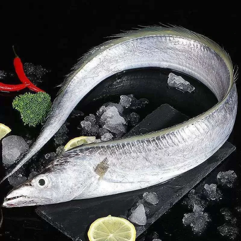 新鲜冷冻海钓带鱼整条发货10条 大条好吃食用 3-5两/条肉肥鲜美