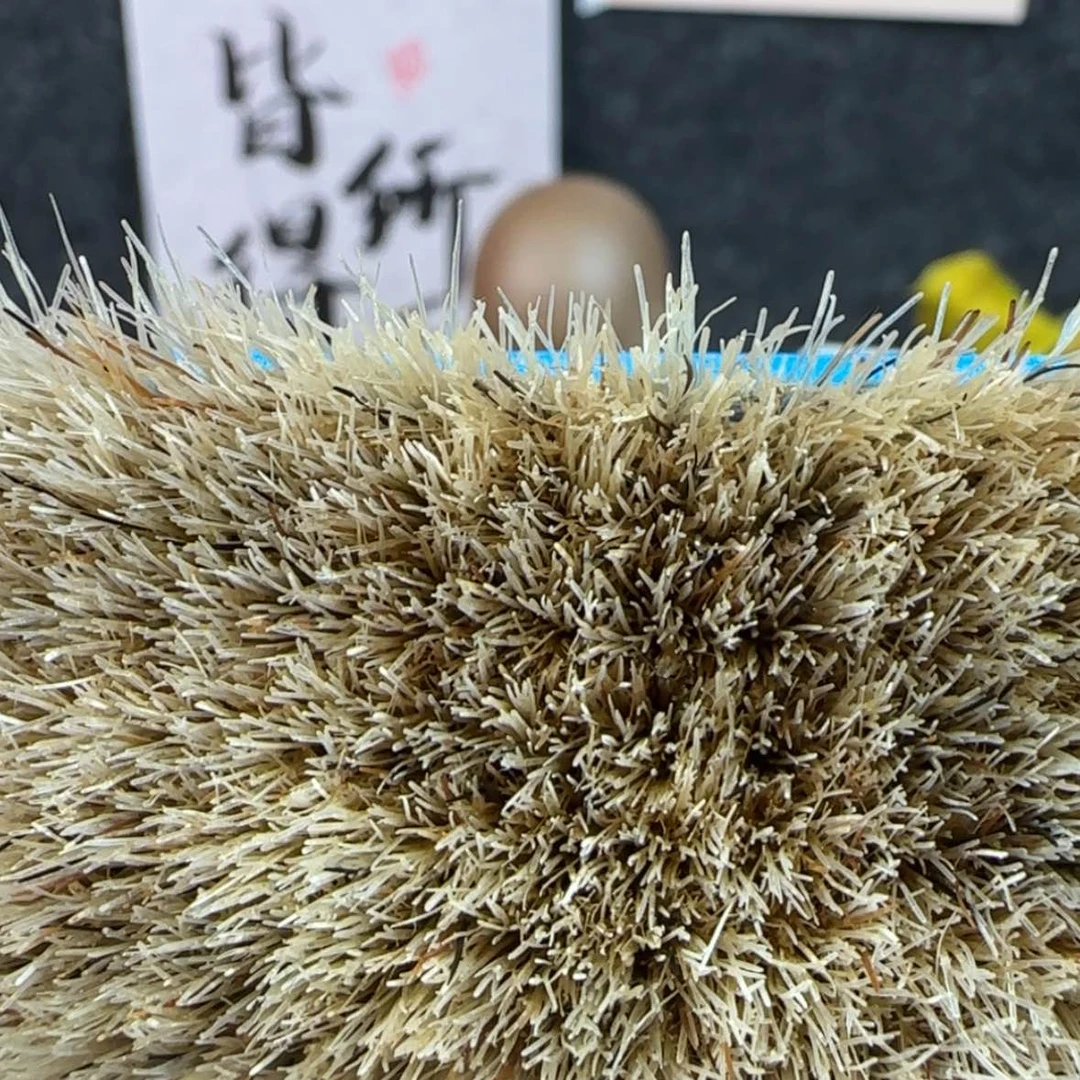 【闪购商品】橄榄核核雕分*