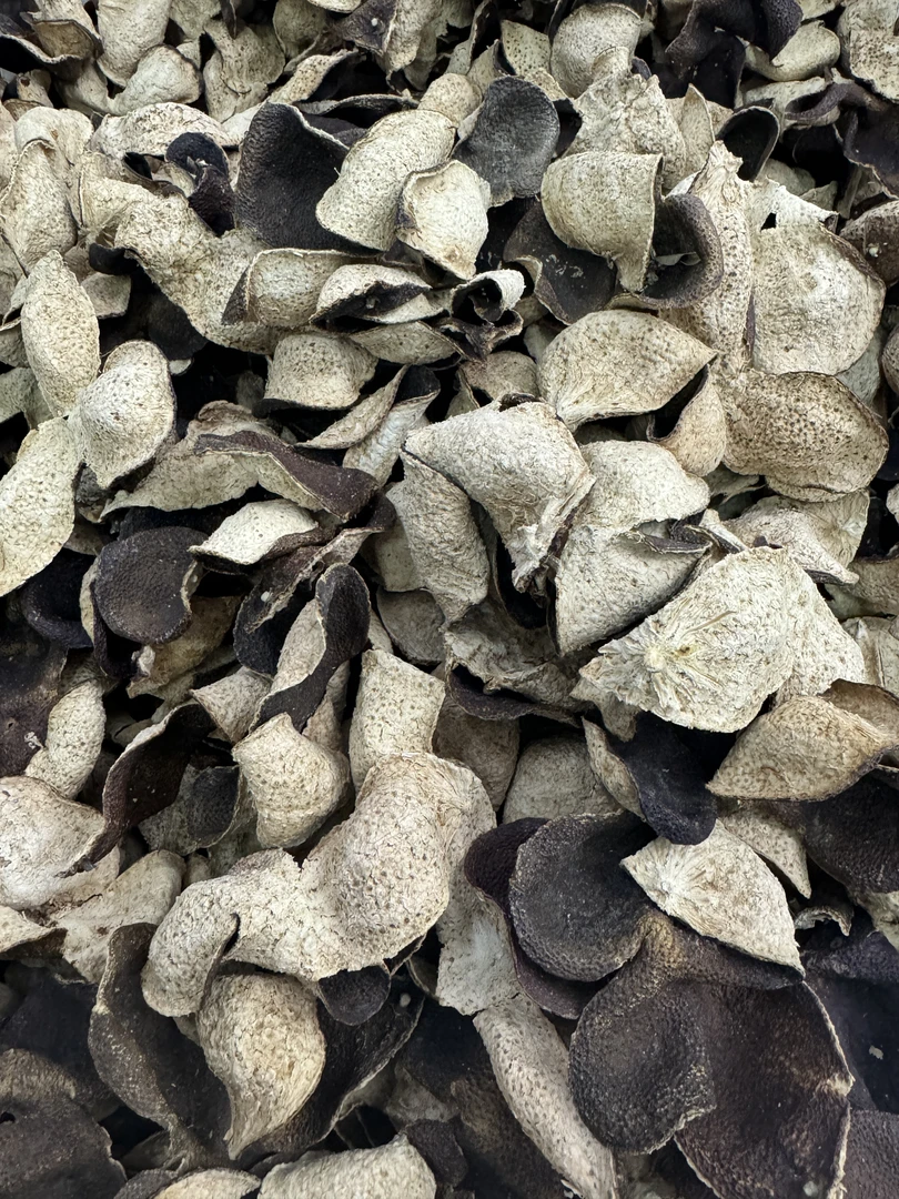 2019年天马大红单片皮纯生晒干仓新会陈皮清新健康