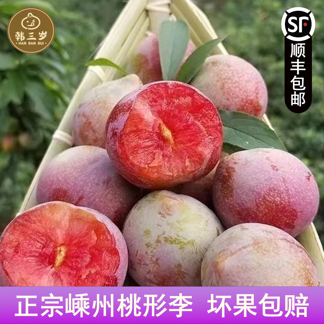 【精品礼盒】韩三岁嵊州特产桃形李新鲜水果现摘红心李顺丰冷链包邮