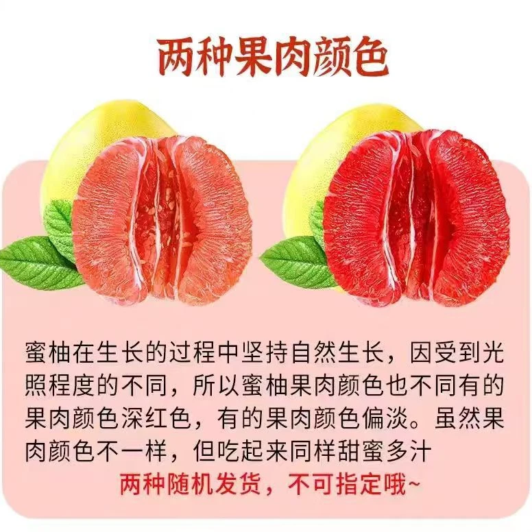 次果 正宗福建平和琯溪三红柚当季现摘新鲜红心柚子水果