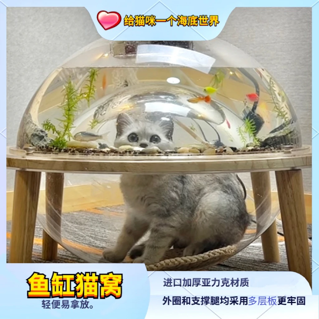 喵小瞧亚克力鱼缸猫窝#猫咪鱼缸加厚牢固进口轻便