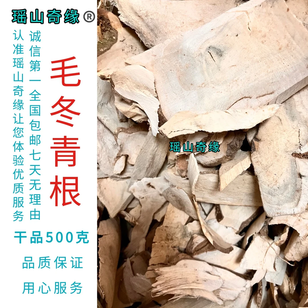 毛冬青根干品500克包邮六月霜乌尾丁山冬青