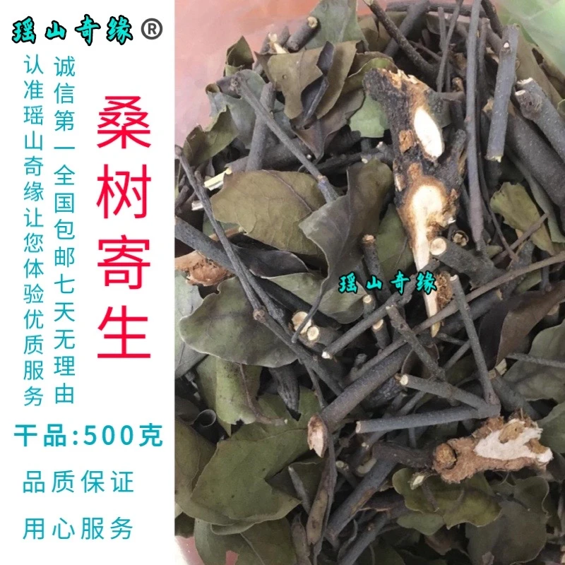 桑树寄生干品500克包邮 桑葚寄生茶 桑寄生