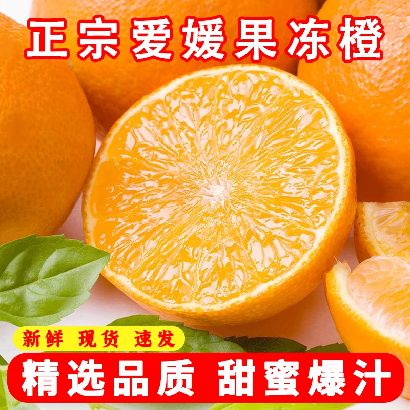 【精品】爱媛38号果冻橙四川新鲜现摘超甜薄皮橙子 A