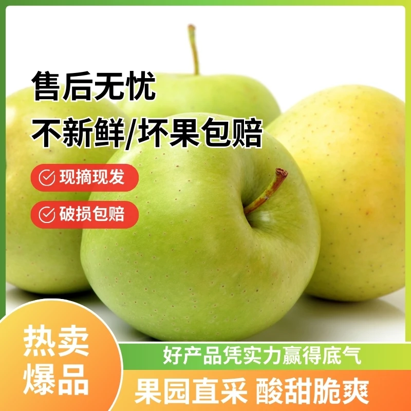 正宗陕西青苹果 当季脆甜多汁 现摘绿苹果 新鲜酸甜 九斤 p
