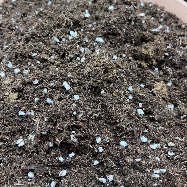 进口泥炭通用配方土椰糠珍珠岩混合营养土