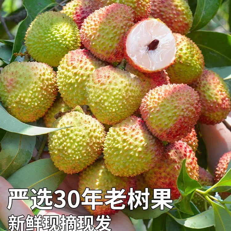 现货妃子笑荔枝 1-4.5斤妃子笑荔枝新鲜包邮老树甜当季水果严选