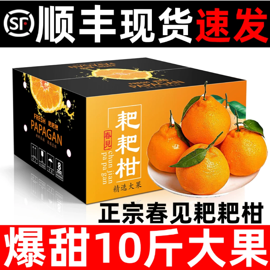 现摘正宗四川春见耙耙柑礼盒整箱当季新鲜丑橘水果橘子10顺丰包邮