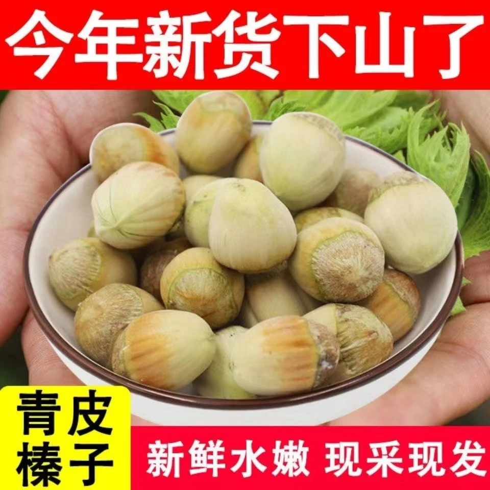 2024年东北特产青皮水仁新鲜绿皮大榛子1斤/2斤/5斤