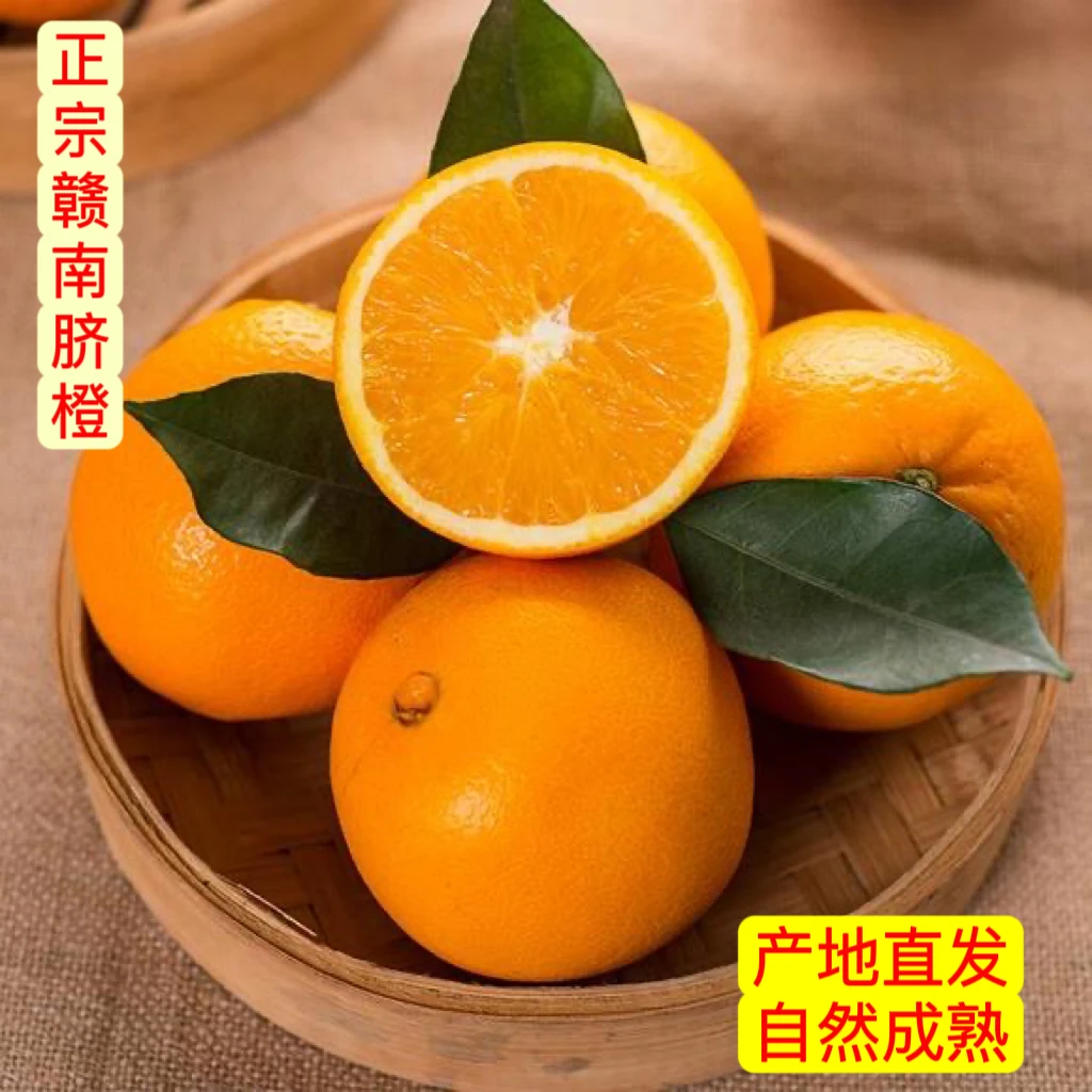 正宗赣南脐橙 新鲜采摘现摘现发爽甜多汁坏果包赔