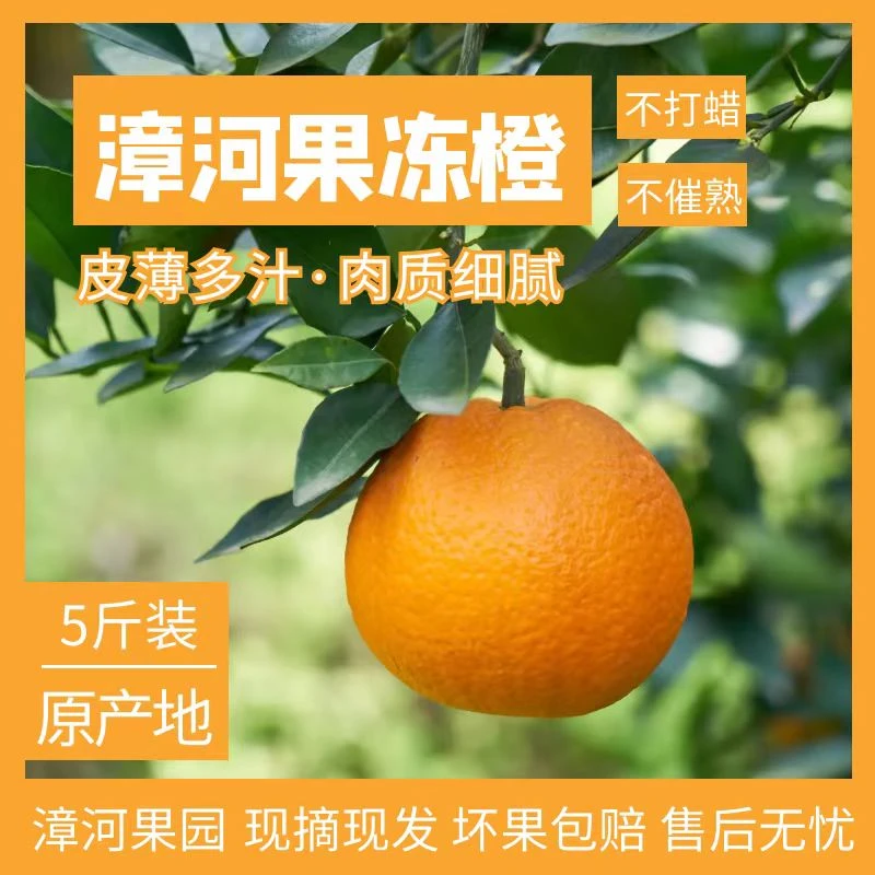 蓝桥哥湖北漳河果冻橙5斤现摘现发红美人爱媛28号果冻橙