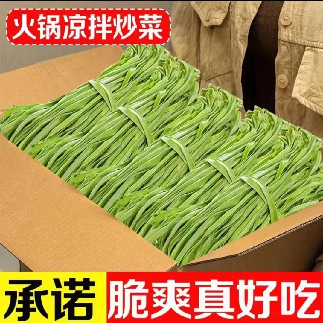 贡菜干干货晒干贡菜干新鲜非莴笋干苔干菜土特产毛重非净重80g