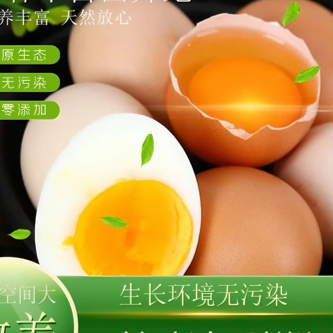江西泰和原种乌鸡种蛋（到手30枚）