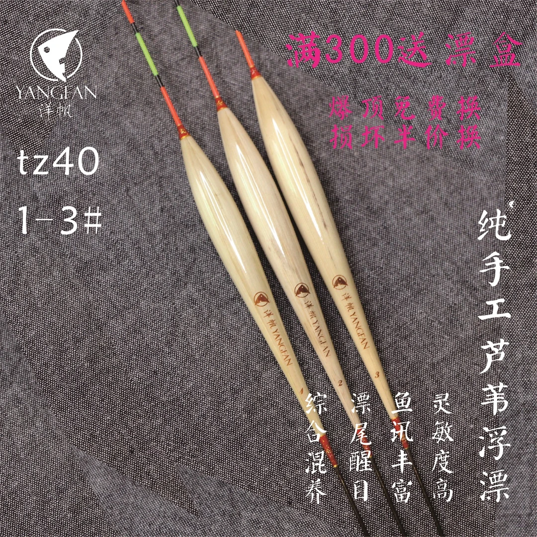 洋帆芦苇浮漂tz40 钓底 离底大鲫鱼