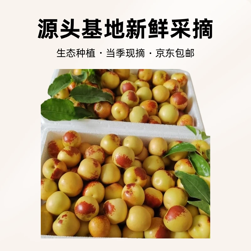 大荔冬枣优质陕西大荔新鲜冬枣正宗采摘应季水果整箱脆甜皮薄肉厚